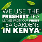 PG Tips Original Black, 80 Tea Bags, pack shot 5, available at teas.co.uk