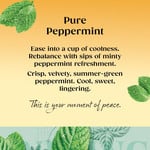 Twinings Peppermint 80, 160g, pack shot 2, available at teas.co.uk